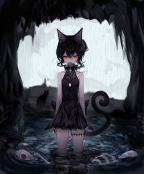 Rule 34 | 1girl, animal ears, artist name, bare arms, bare shoulders, black dress, black hair, cat ears, cat tail, cave, commentary, cowboy shot, dress, highres, mouth hold, original, red eyes, sheya, short hair, signature, sleeveless, sleeveless dress, solo, standing, symbol-only commentary, tail, thighs, wading