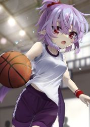 Rule 34 | 1girl, akisome hatsuka, alternate costume, alternate hairstyle, ball, basketball, basketball (object), bat wings, black shorts, blurry, blurry background, breasts, fang, hair bobbles, hair ornament, indoors, looking at viewer, medium breasts, open mouth, pointy ears, ponytail, purple hair, red eyes, remilia scarlet, shirt, short hair, short sleeves, shorts, solo, touhou, white shirt, wings, wristband