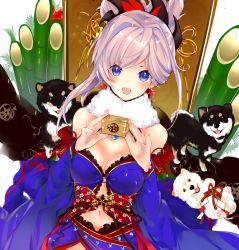 Rule 34 | 1girl, bad id, bad pixiv id, bamboo, blue dress, blue eyes, blush, breasts, cleavage, detached sleeves, dog, dress, fate/grand order, fate (series), hair ornament, highres, itohime, long hair, looking at viewer, medium breasts, midriff, miyamoto musashi (fate), miyamoto musashi (third ascension) (fate), navel, new year, o-ring, open mouth, ponytail, sidelocks, silver hair, sleeveless, sleeveless dress, solo, stomach