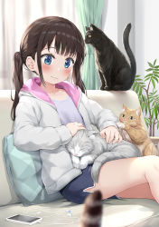 Rule 34 | 1girl, :3, absurdres, animal, black cat, black hair, black shorts, blue eyes, blurry, blurry foreground, blush, cat, cellphone, closed mouth, couch, curtains, depth of field, dolphin shorts, earbuds, earphones, grey jacket, highres, jacket, long hair, nedia (nedia region), on couch, open clothes, open jacket, original, petting, phone, pillow, plant, potted plant, purple shirt, shirt, short shorts, shorts, smile, solo, twintails, window