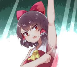 Rule 34 | 1girl, arm up, armpits, ascot, blush, bow, brown hair, collared shirt, commentary request, cookie (touhou), frilled hair tubes, frills, hair bow, hair tubes, hakurei reimu, looking at viewer, open mouth, presenting armpit, red bow, red eyes, red shirt, reu (cookie), shirt, short hair, sleeveless, sleeveless shirt, solo, sweat, touhou, upper body, yellow ascot, yumekamaborosh