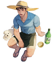 Rule 34 | 1boy, black hair, blue shirt, bottle, collared shirt, dog, hat, highres, invisible chair, open mouth, original, rinotuna, sandals, shadow, shirt, short hair, short sleeves, shorts, simple background, sitting, solo, white background, white dog, white shorts, yellow hat