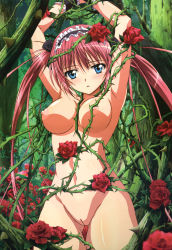 Rule 34 | 1girl, absurdres, airi (queen&#039;s blade), armpits, arms up, bdsm, blue eyes, blush, body blush, bondage, bound, breasts, cleft of venus, female focus, flower, foreshortening, forest, groin, headdress, highres, large breasts, long hair, looking at viewer, maid headdress, nature, navel, nipples, noguchi takayuki, nude, nude filter, parted lips, plant, pussy, queen&#039;s blade, red flower, red hair, red rose, rose, shade, solo, thighs, third-party edit, thorns, tree, twintails, uncensored, very long hair, wrist cuffs