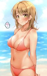 Rule 34 | 1girl, ?, absurdres, areola slip, arms behind back, bikini, blurry, blurry background, blush, breasts, brown eyes, brown hair, closed mouth, commentary request, cowboy shot, day, depth of field, highres, isshiki iroha, kitaku (nakamachi machi), large breasts, looking at viewer, medium breasts, navel, ocean, outdoors, pink bikini, short hair, smile, solo, spoken question mark, standing, swimsuit, water, wet, yahari ore no seishun lovecome wa machigatteiru.
