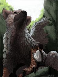 Rule 34 | 1boy, artist request, child, feathers, fur, griffin, short hair, signature, talons, the boy (the last guardian), the last guardian, trico (character), tunic, whiskers