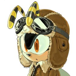 Rule 34 | 1boy, absurdres, aviator cap, charmy bee, furry, furry male, hat, highres, male focus, orange eyes, portrait, simple background, solo, sonic (series), tokiwa757, twitter username, white background