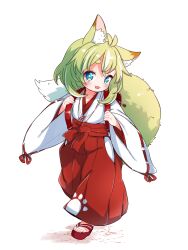 Rule 34 | 1girl, animal ear fluff, animal ears, antenna hair, babalilo, backpack, bag, blue eyes, blush, commentary request, fang, fox ears, fox tail, full body, green hair, hakama, highres, hip vent, japanese clothes, kimono, large tail, looking at viewer, medium hair, miko, open mouth, original, paw print, randoseru, ribbon-trimmed sleeves, ribbon trim, simple background, skin fang, smile, solo, tail, thick eyebrows, toes, walking, white background, white kimono, wide sleeves