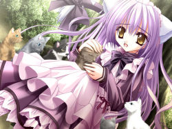Rule 34 | 1girl, against tree, animal ears, cafe little wish, cat, cat ears, cat tail, dress, game cg, long hair, maid, mina (cafe little wish), nature, purple hair, ribbon, sitting, solo, tail, tinker bell (pixiv 10956015), tree, very long hair, yellow eyes