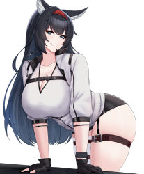 Rule 34 | 1girl, :q, absurdres, animal ears, arknights, bent over, black gloves, black hair, blaze (arknights), blue eyes, blush, breasts, cleavage, closed mouth, commentary, crossed bangs, english commentary, fingerless gloves, gloves, hairband, highres, kanta (kanta 077), large breasts, long sleeves, looking at viewer, red hairband, shirt, simple background, single thighhigh, smile, solo, thigh strap, thighhighs, thighs, tongue, tongue out, white background, white shirt, white thighhighs