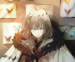 Rule 34 | 1boy, absurdres, blue eyes, brown hair, bug, butterfly, cloak, closed mouth, eyebrows hidden by hair, fate/grand order, fate (series), framed insect, fur-trimmed cloak, fur trim, hair between eyes, hair over eyes, highres, insect, insect collection, light frown, looking away, looking to the side, male focus, medium hair, oberon (fate), oberon (third ascension) (fate), sideways glance, signature, sofra, solo, spoilers, twitter username, upper body, white cloak