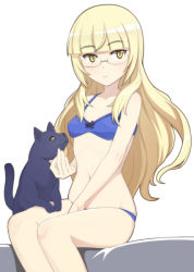 Rule 34 | 1girl, black cat, blonde hair, blue bra, blue panties, bra, caryo, cat, glasses, long hair, looking at viewer, nanashino, navel, panties, perrine h. clostermann, sitting, solo, strike witches, underwear, underwear only, world witches series, yellow eyes