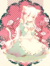 Rule 34 | 2girls, animal ears, apron, blue dress, cat ears, cat tail, colored eyelashes, dress, flower, frilled apron, frills, gradient eyes, hair between eyes, hair ribbon, hairband, hu sixx, kagerou project, kozakura marry, light blush, long dress, long hair, long sleeves, looking at viewer, maid apron, multicolored eyes, multiple girls, own hands together, pink background, pink eyes, pink hairband, pink ribbon, plant, polka dot, polka dot background, ribbon, rose, sitting, sleeve cuffs, solo, star (symbol), tail, tan background, very long hair, white apron, white flower, white hair, white rose, yellow eyes