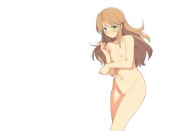 Rule 34 | 1girl, blonde hair, blush, breasts, censored, embarrassed, evenicle, flat chest, game cg, green eyes, legs, long hair, looking at viewer, navel, nipples, no pussy, nude, simple background, solo, standing, thighs, yaegashi nan