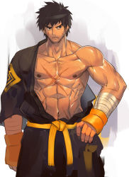 Rule 34 | 00s, 1boy, abs, bara, body hair, brown hair, dungeon &amp; fighter, dungeon and fighter, grappler (dungeon &amp; fighter), male fighter (dungeon and fighter), male focus, muscular, nikism, nipples, pectorals, scar, solo, tagme, undressing