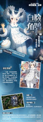 Rule 34 | absurdres, animal, animal costume, gloves, hand on own hip, highres, kemono friends, kemono friends kingdom, northern white-faced owl (kemono friends), official art, photo (object), short hair, white hair, yellow eyes