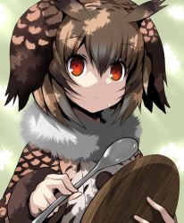 Rule 34 | 10s, 1girl, :&lt;, brown hair, buttons, coat, eurasian eagle owl (kemono friends), feathers, food, food on face, fur collar, head wings, holding, holding spoon, kemono friends, long sleeves, looking at viewer, multicolored hair, plate, red eyes, rice, rice on face, short hair, solo, spoon, tsukasawa takamatsu, wings