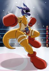 Rule 34 | boxing gloves, digimon, doll, glasses, helmet, kangaroo, kangarumon, tail