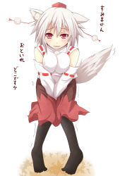 Rule 34 | 1girl, animal ears, breasts, detached sleeves, efe, face, female focus, have to pee, inubashiri momiji, looking at viewer, pantyhose, red eyes, short hair, silver hair, simple background, solo, tail, touhou, white background, wolf ears, wolf tail