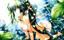 Rule 34 | 1girl, bikini, blue eyes, breasts, cleavage, dappled sunlight, green hair, hair ribbon, kneeling, leaf, long hair, mikeou, ribbon, solo, submerged, sunlight, swimsuit, twintails, very long hair, wallpaper, water, widescreen wallpaper