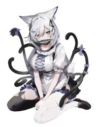 Rule 34 | 1girl, absurdres, animal, animal ear fluff, animal ears, apron, arms between legs, asymmetrical legwear, back bow, black footwear, black nails, black ribbon, black thighhighs, blue bow, blue hair, blue ribbon, bow, bright pupils, brown eyes, cat ears, cat girl, cat hair ornament, cat tail, fingernails, fish, fish in mouth, frills, grey background, grey hair, hair between eyes, hair ornament, hair ribbon, highres, long fingernails, maid, maid apron, mismatched legwear, mouth hold, multicolored eyes, multicolored hair, multiple tails, nail polish, onodera nire, original, puffy sleeves, red eyes, ribbon, sardine, sharp fingernails, simple background, sitting, solo, streaked hair, tail, tail bow, tail ornament, thighhighs, too many, torn, torn clothes, torn thighhighs, very long fingernails, wariza, white bow, white pupils, white thighhighs