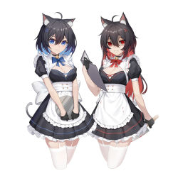Rule 34 | absurdres, ahoge, animal ear fluff, animal ears, apron, bell, black dress, black gloves, black hair, blood, blood on clothes, bloody knife, blue bow, blue bowtie, blue eyes, blue hair, bow, bowtie, bra, breasts, butcher knife, cat ears, cat girl, cat tail, cleavage, closed mouth, collar, cropped legs, dress, dual persona, frilled dress, frills, garter straps, gloves, hair ornament, highres, holding, holding knife, holding menu, holding tray, honkai (series), honkai impact 3rd, jingle bell, kemonomimi mode, knife, large breasts, long hair, looking at viewer, looking back, maid, medium breasts, menu, multicolored hair, neck bell, parted lips, pleated dress, red bow, red bowtie, red hair, seele (alter ego), seele vollerei, shaded face, shenqi xiao hong zai nali, short hair, short sleeves, simple background, smile, tail, thighhighs, tray, two-tone hair, underwear, white apron, white background, white bra, white legwear, x hair ornament, zettai ryouiki