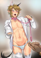 Rule 34 | 1boy, animal ear fluff, animal ears, blonde hair, blue eyes, blush, bulge, cat ears, cat tail, character name, clenched hand, collar, collarbone, earrings, elf, groin, highres, holding, holding leash, jewelry, leash, link, long sleeves, navel, nekomata, nintendo, open clothes, open mouth, open shirt, panties, pointy ears, saliva, shirt, short hair, solo focus, stomach, striped clothes, striped panties, tail, tamatamako01, teeth, the legend of zelda, thighhighs, tongue, trap, underwear, white shirt, yaoi