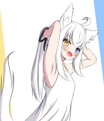Rule 34 | 1girl, :d, absurdres, animal ear fluff, animal ears, armpits, arms behind head, arms up, bare arms, bare shoulders, black ribbon, blue eyes, blush, commentary, dress, fang, fox ears, fox girl, fox tail, hair ribbon, heterochromia, highres, kuronagi (mitora uwu), long hair, looking at viewer, open mouth, original, ponytail, ribbon, sidelocks, sleeveless, sleeveless dress, smile, solo, symbol-only commentary, tail, white background, white dress, white hair, yellow eyes