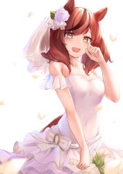 Rule 34 | 1girl, absurdres, alternate costume, animal ears, arm garter, bare shoulders, bouquet, bow, breasts, bridal veil, brown hair, covered navel, crying, crying with eyes open, dress, flower, hair flower, hair ornament, hand up, happy tears, highres, holding, holding bouquet, horse ears, horse girl, horse tail, medium hair, miyama mizuki (hoshihoshi1220), multicolored hair, nice nature (umamusume), open mouth, petals, small breasts, smile, solo, strapless, strapless dress, streaked hair, streaming tears, tail, tears, twintails, umamusume, upper body, veil, wedding dress, white bow, white dress, wiping tears, yellow eyes