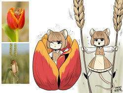 Rule 34 | 1girl, absurdres, animal ears, artist name, black footwear, bob cut, brown dress, brown hair, creature and personification, dress, flower, gegegekman, highres, mouse (animal), mouse ears, mouse girl, mouse tail, multiple views, one eye closed, open mouth, original, personification, photo inset, red flower, reference inset, shirt, short hair, signature, socks, tail, teeth, tulip, upper teeth only, wheat, white shirt, white socks