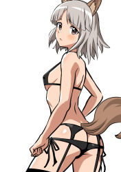 Rule 34 | 1girl, absurdres, animal ears, ass, black bra, black panties, blush, bra, brave witches, breasts, brown eyes, butt crack, closed mouth, covered erect nipples, edytha rossmann, fox ears, fox tail, garter belt, garter straps, grey hair, highres, lingerie, looking at viewer, oinari (koheihei1109), panties, short hair, side-tie panties, simple background, small breasts, solo, tail, underwear, white background, world witches series