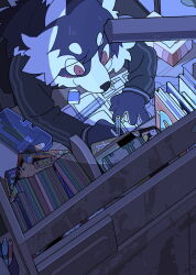 Rule 34 | 1boy, animal ears, black hair, black jacket, blueprint (object), brown eyes, closed mouth, commentary request, desk, desk lamp, dog boy, dog ears, drawing (action), eyes visible through hair, furry, furry male, happy, highres, holding, holding pencil, indoors, jacket, lamp, leaning forward, light blush, long sleeves, looking at object, male focus, multicolored hair, night, notebook, original, pencil, pencil case, smile, snout, solo, streaked hair, taracod, thick eyebrows, track jacket, upper body, white hair