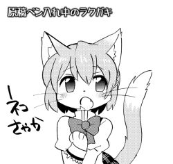 Rule 34 | 10s, 1girl, animal ears, blush, bow, cat ears, cat tail, eromame, fang, greyscale, hair ornament, hairclip, kemonomimi mode, mahou shoujo madoka magica, mahou shoujo madoka magica (anime), miki sayaka, monochrome, school uniform, skirt, solo, tail, translation request, upper body, whiskers