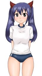 1girl bloomers blue_hair blush fairy_tail gym_uniform shibusawa_taka smile twintails underwear wendy_marvell