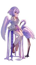Rule 34 | 1girl, angel wings, animal, arm up, bird, body writing, boots, braid, crane (animal), english text, feathered wings, floating, french braid, full body, highres, jacket, kishin sagume, legs, long sleeves, looking at viewer, red eyes, sample watermark, shouxishao jiuyuan, single braid, solo, thighs, touhou, watermark, white hair, white jacket, wide sleeves, wings
