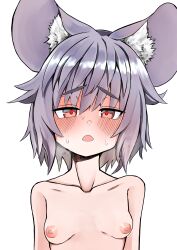 Rule 34 | 1girl, absurdres, animal ear fluff, animal ears, blush, breasts, commentary request, completely nude, ginger ale (syouga 6383), grey hair, half-closed eyes, heart, heart-shaped pupils, highres, looking at viewer, mouse ears, mouse girl, nazrin, nipples, nude, open mouth, portrait, short hair, simple background, small breasts, solo, symbol-shaped pupils, touhou, white background