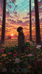 Rule 34 | 1boy, absurdres, brown coat, brown hair, brown sweater, cloud, coat, fence, field, flower, flower field, highres, holding, holding flower, house, male focus, original, outdoors, pasoputi, plaid, plaid scarf, red scarf, scarf, scenery, short hair, solo, sun, sunset, sweater, tree, wooden fence