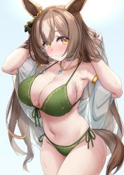 Rule 34 | 1girl, animal ears, armlet, bare shoulders, bikini, blush, breasts, brown hair, commentary request, cowboy shot, detached sleeves, front-tie bikini top, front-tie top, green bikini, groin, hands up, highres, horse ears, jewelry, kibihimi, large breasts, long hair, looking at viewer, navel, necklace, partial commentary, satono diamond (umamusume), side-tie bikini bottom, smile, solo, standing, stomach, swimsuit, tail, thighs, umamusume, very long hair, wet, yellow eyes