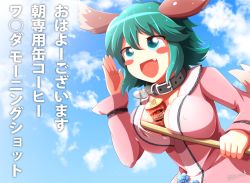Rule 34 | 1girl, alternate breast size, animal ears, artist name, bad id, bad pixiv id, bamboo broom, between breasts, brand name imitation, breasts, broom, can, cloud, collar, day, dress, covered erect nipples, fang, green eyes, green hair, kasodani kyouko, kisaragi zwei, large breasts, long sleeves, matching hair/eyes, open mouth, sexually suggestive, short hair, signature, sky, smile, solo, text focus, touhou