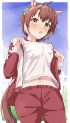 Rule 34 | 1girl, ahoge, animal ears, breasts, brown eyes, brown hair, commentary, dantsu flame (umamusume), from below, gym shirt, gym uniform, highres, horse ears, horse girl, horse tail, jacket, large breasts, looking at viewer, medium hair, midriff, multicolored hair, navel, open clothes, open jacket, open mouth, pants, red pants, shirt, solo, tail, tracen training uniform, track jacket, track pants, triangle (zztg3775), two-tone hair, umamusume, white hair