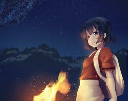 Rule 34 | 10s, 1girl, backpack, bag, black cellien (kemono friends), black hair, bonkiru, brown eyes, closed mouth, commentary, fire, from side, highres, kaban (kemono friends), kemono friends, looking at viewer, night, outdoors, red shirt, shirt, short hair, solo, spoilers, torch, upper body, wavy hair