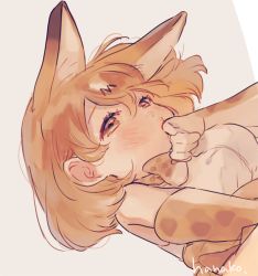 Rule 34 | 1girl, animal ears, bare shoulders, blonde hair, blush, bow, bowtie, close-up, commentary request, elbow gloves, extra ears, finger to mouth, gloves, hair between eyes, hanako151, kemono friends, looking at viewer, pinky to mouth, portrait, serval (kemono friends), serval print, shirt, short hair, signature, sleeveless, sleeveless shirt, solo, traditional bowtie