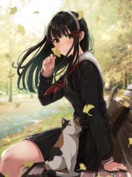 Rule 34 | 1girl, absurdres, arm support, autumn, autumn leaves, backlighting, bench, black hair, blurry, blush, breasts, briefcase, cat, day, depth of field, falling leaves, from side, hairband, hand up, harameruko, highres, holding, holding leaf, huge filesize, leaf, light particles, long hair, looking at viewer, medium breasts, neckerchief, on bench, original, outdoors, park, park bench, pleated skirt, sailor collar, school briefcase, school uniform, serafuku, sitting, skirt, smile, solo, tree, wind, yellow eyes