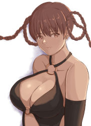 Rule 34 | 1girl, breasts, brown hair, dead or alive, large breasts, lei fang, solo