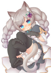 Rule 34 | 1girl, animal ear fluff, animal ears, barefoot, black gloves, black thighhighs, blue bow, blue bowtie, blue capelet, blue eyes, blue skirt, blush, borrowed character, bow, bowtie, braid, breasts, capelet, cat ears, cat tail, center frills, closed mouth, commentary request, commission, daisy, dutch angle, expressionless, feet, feet up, finger to own chin, flower, foot focus, frills, gloves, gold trim, grey hair, hair flower, hair ornament, hand up, kupuru (hirumamiyuu), looking at viewer, original, panties, petticoat, simple background, skeb commission, skirt, sleeves past elbows, small breasts, soles, solo, tail, thighhighs, toes, twin braids, twintails, underwear, white background, white flower, wide sleeves