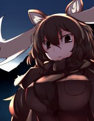 Rule 34 | 10s, 1girl, animal ears, antlers, breast pocket, breasts, brown eyes, brown hair, closed mouth, commentary request, furorina, hair between eyes, horns, kemono friends, large breasts, long hair, looking at viewer, moose (kemono friends), moose ears, pocket, solo, upper body