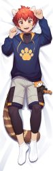 Rule 34 | 1boy, animal, black legwear, commentary request, doll, highres, looking at viewer, looking up, lying, male focus, on back, original, red eyes, red hair, reizu, shorts, smile, solo, stuffed animal, stuffed toy, sweater, tail