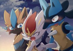 Rule 34 | blue eyes, blush, cinderace, cloud, commentary request, creatures (company), furry, game freak, gen 4 pokemon, gen 7 pokemon, gen 8 pokemon, legendary pokemon, locked arms, looking at another, lucario, mythical pokemon, nata de coco (pankptomato), nintendo, one eye closed, open mouth, outdoors, pokemon, pokemon (creature), sky, spikes, tongue, yellow fur, zeraora