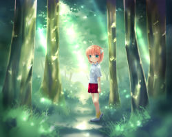 Rule 34 | 00s, 1girl, alternate eye color, aqua eyes, bad id, bad pixiv id, child, elfen lied, forest, grass, horns, lucy (elfen lied), monster girl, nature, pink hair, shirt, short hair, skirt, solo, standing, sunlight, t-shirt, tree, yayoi (pipi), aged down