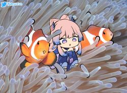 Rule 34 | 1girl, :d, ?, blunt bangs, choker, clownfish, commentary request, detached sleeves, fish, flower, genshin impact, gradient hair, hair ornament, highres, long hair, long sleeves, looking at viewer, low twintails, multicolored hair, nontraditional miko, ooyun, open mouth, photo background, pink hair, purple eyes, sangonomiya kokomi, sea anemone, sidelocks, smile, tropical fish, twintails, wide sleeves