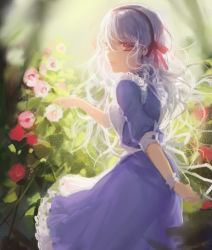 Rule 34 | 1girl, bad id, bad pixiv id, day, dress, flower, hair between eyes, hair ribbon, kagerou project, kozakura marry, leclle, long hair, looking at viewer, outdoors, pink eyes, plant, purple dress, ribbon, short sleeves, sketch, solo, standing, sunlight